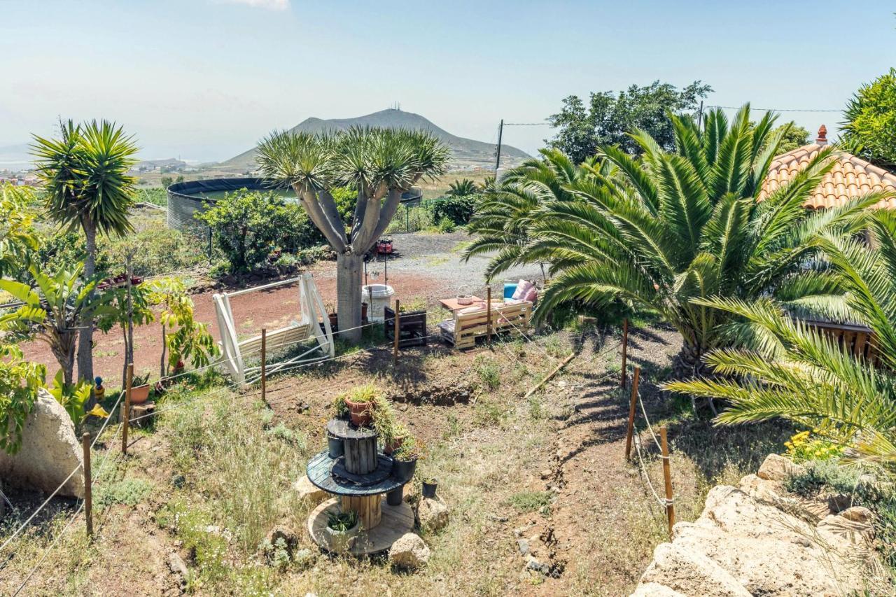Apartamento B Armonia Rural Granadilla De Abona Exterior foto